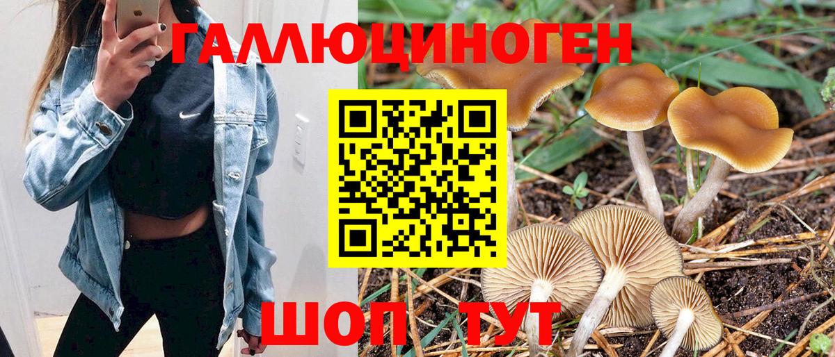 Отрадный  Галлюциногенные грибы GOLDEN TEACHER  Вход с VPN 
