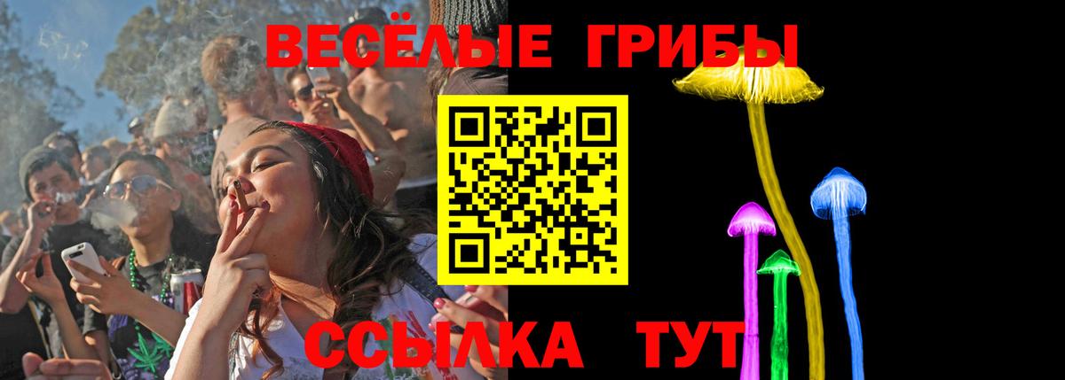 Галлюциногенные грибы Cubensis Отрадный